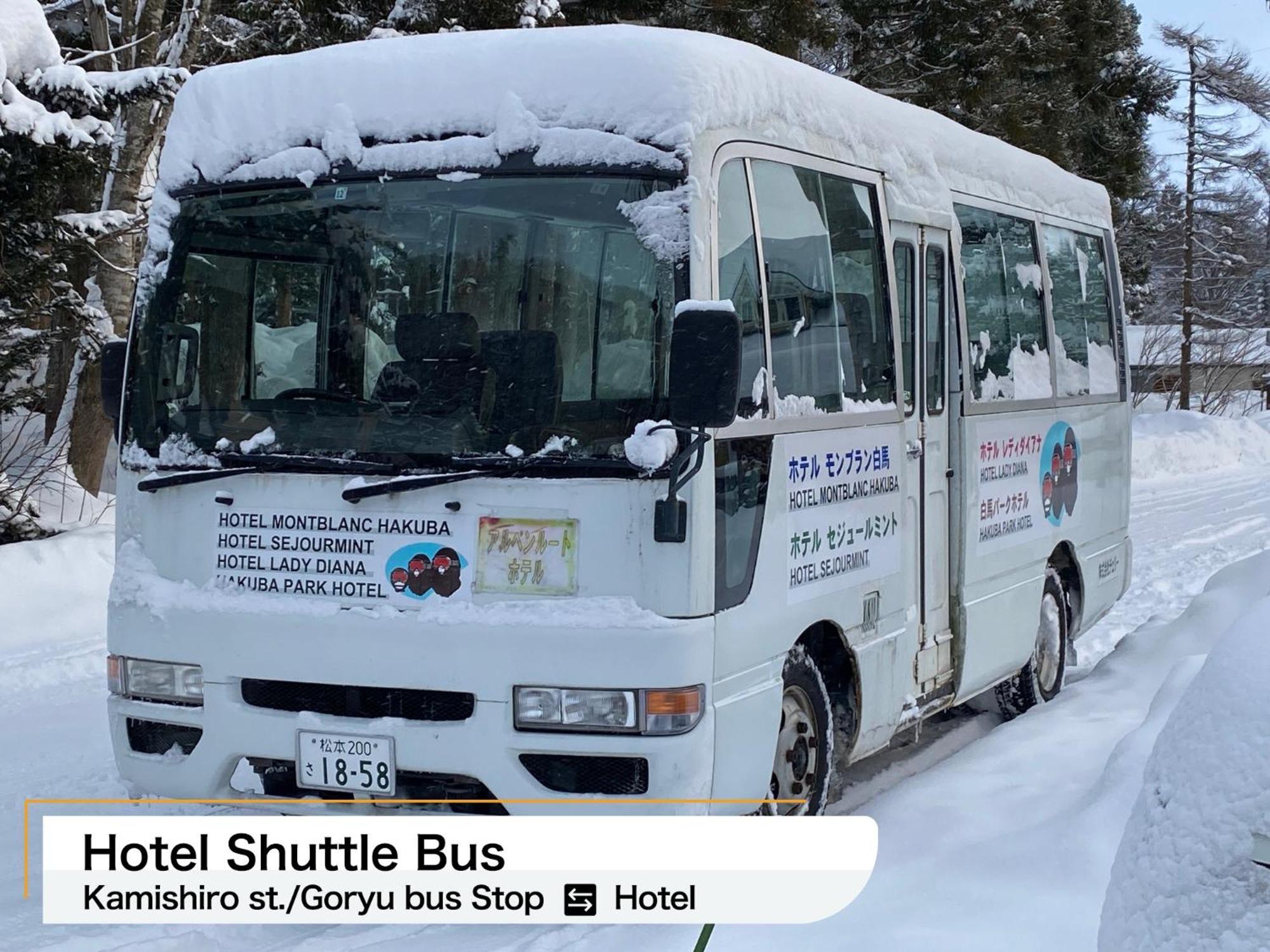 Hakuba Park Hotel Extérieur photo