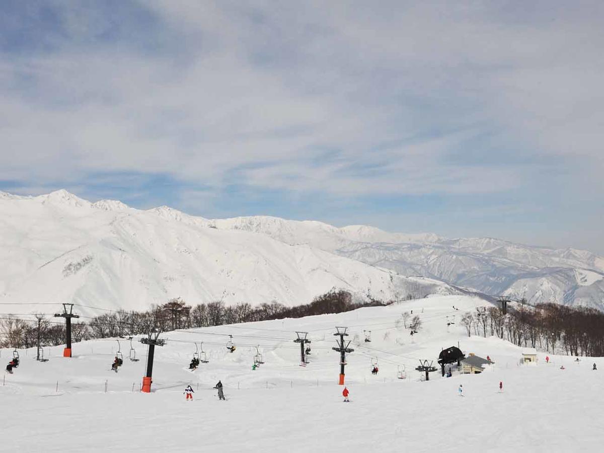 Hakuba Park Hotel Extérieur photo