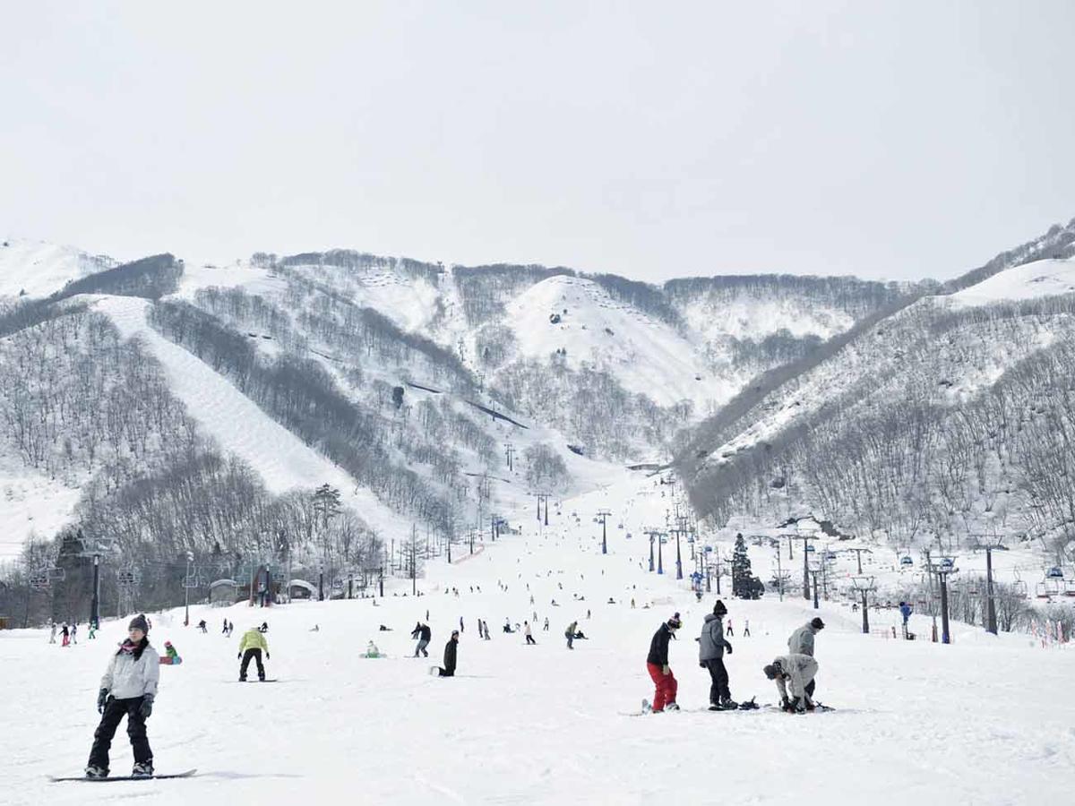 Hakuba Park Hotel Extérieur photo